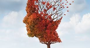 CTR: Servizio di valutazione Neuropsicologica per adulti